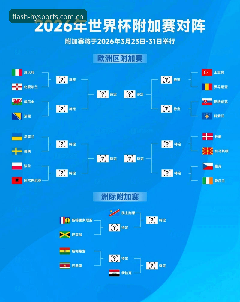 世界杯观赛受阻，地缘政治如何影响球迷的赛场之梦？